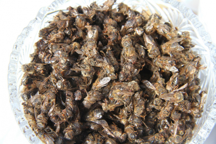 В ВКО открывается научно-исследовательский центр алтаеведения